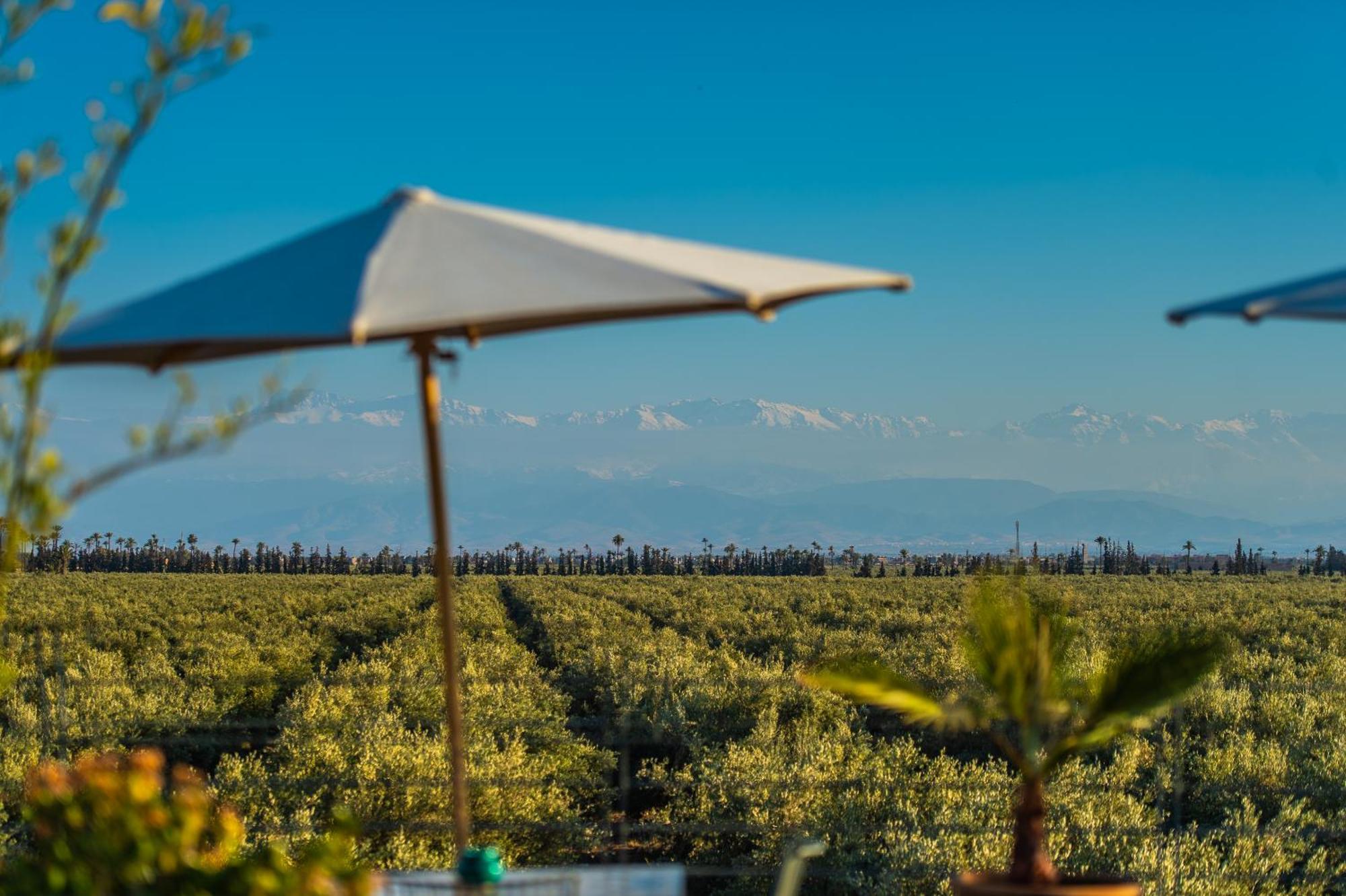 Riad Bab Ahmar Marrakesh Ngoại thất bức ảnh